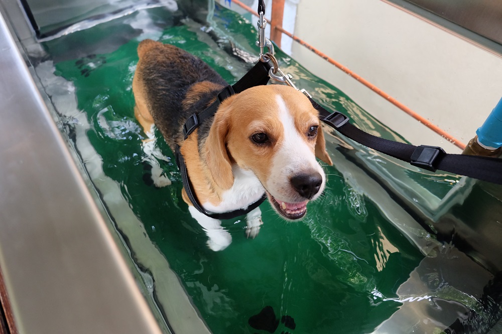 Rehabilitation Therapy Riverton, WY