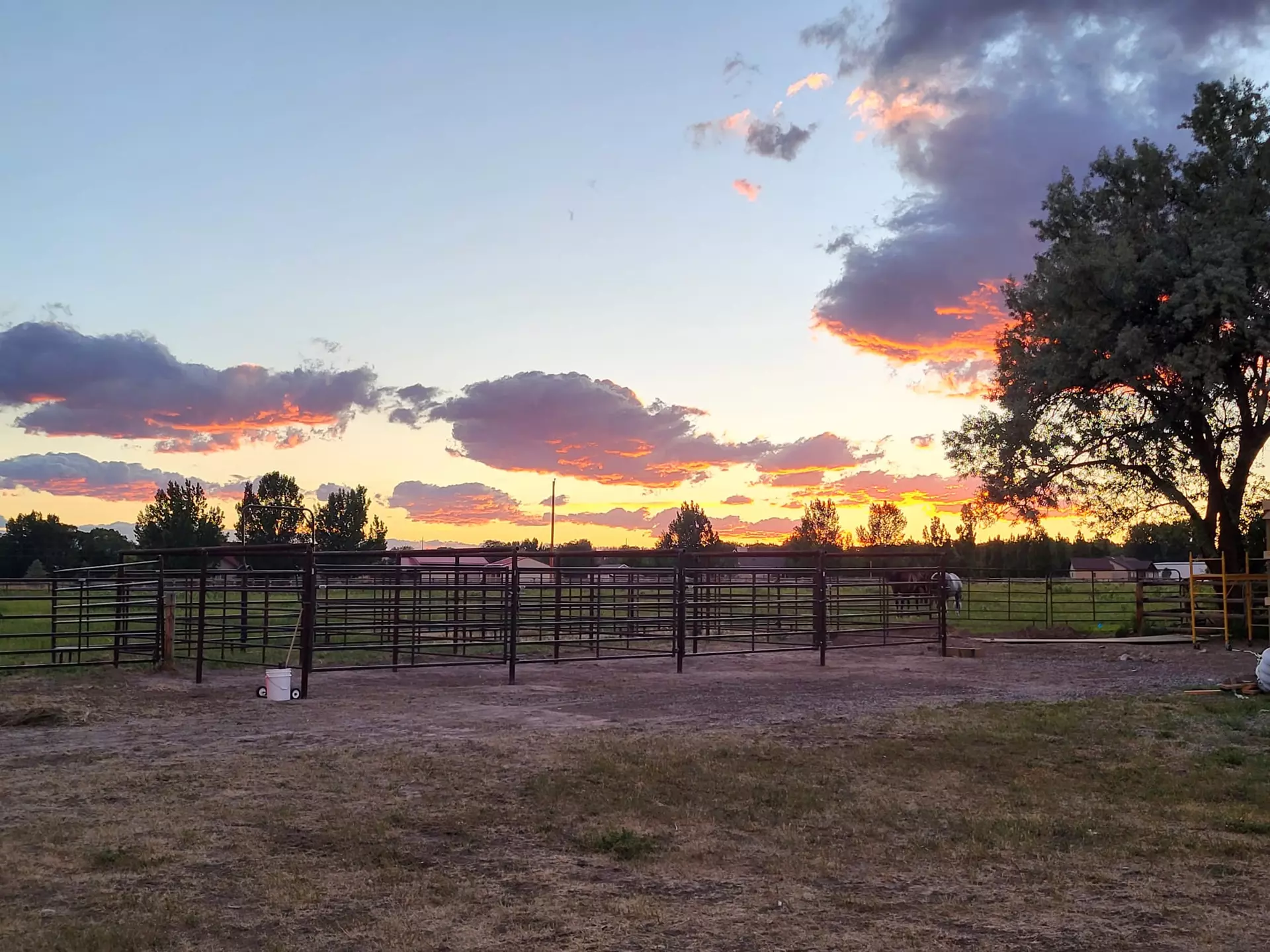 small animal services Riverton, WY